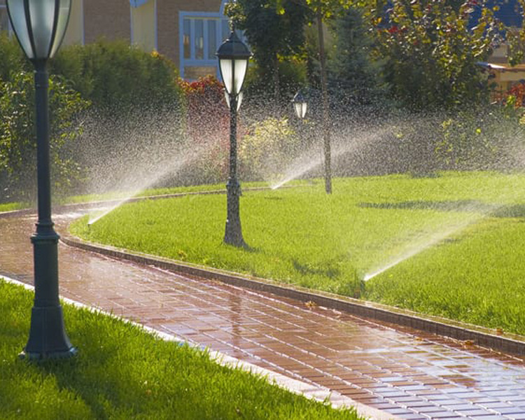 project-slider-image