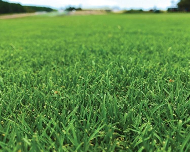 project-slider-image